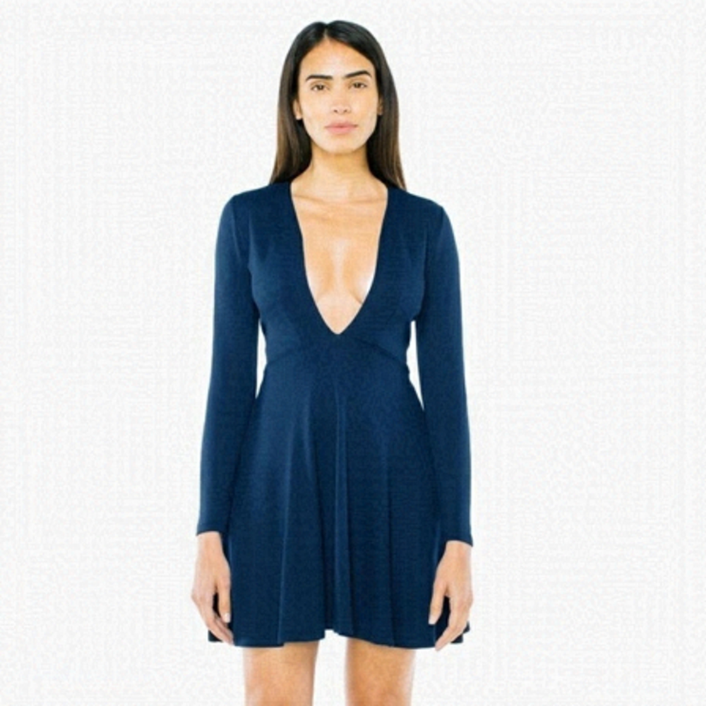 American Apparel Skater Dress